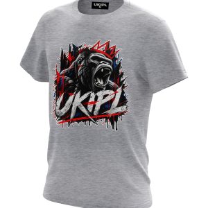 UKIPL Crowned Tee, grey, front view