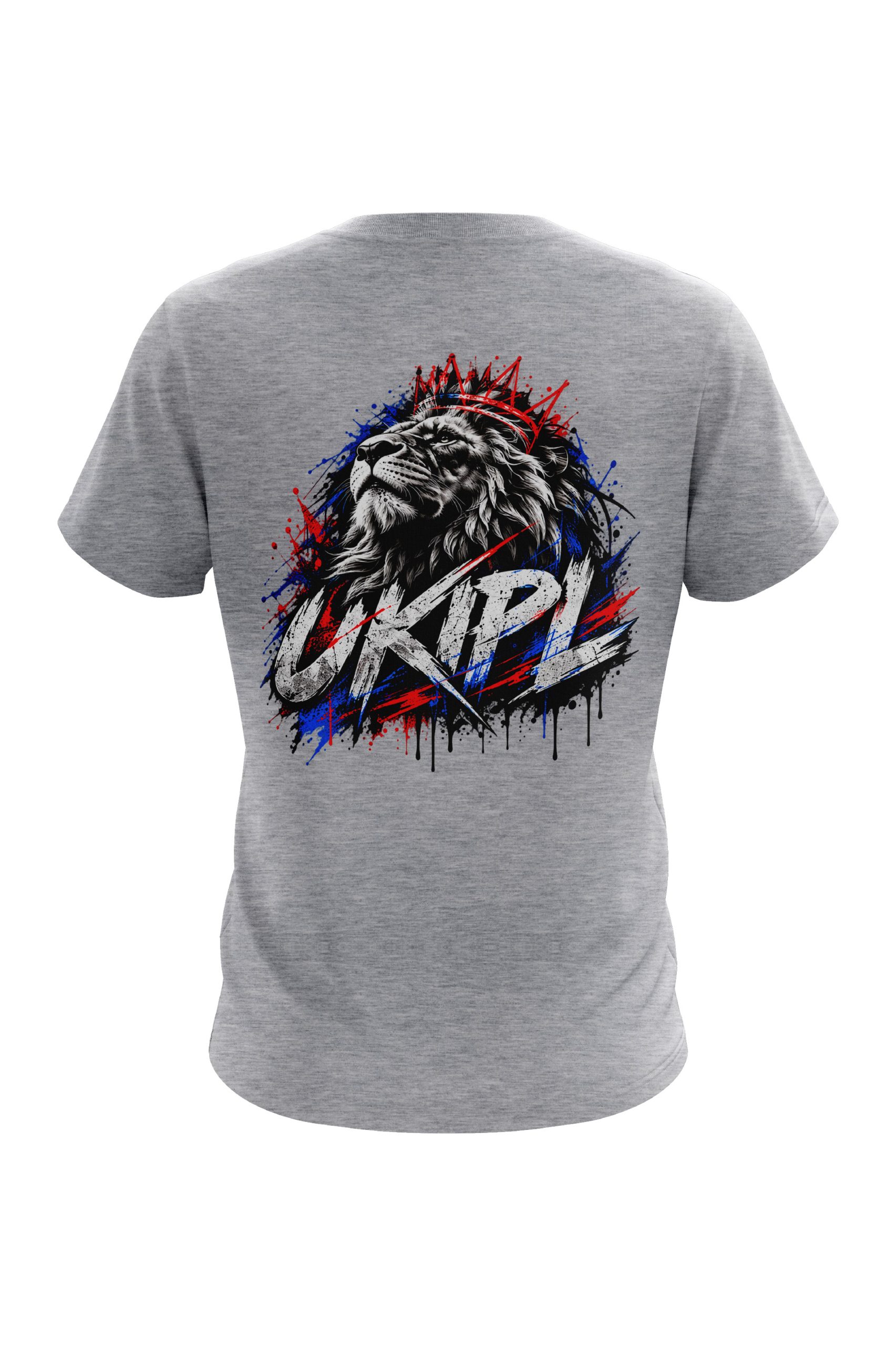 UKIPL National Tee, grey, back view