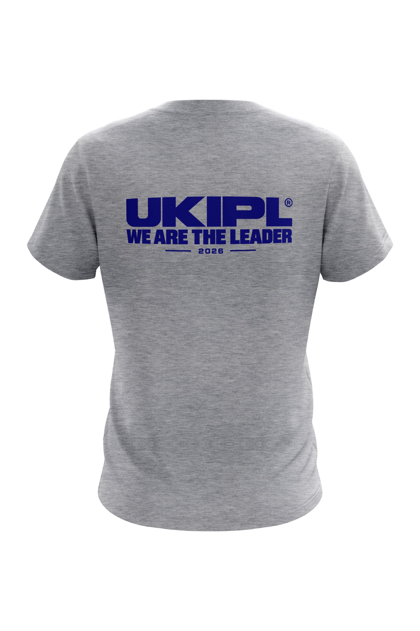 UKIPL Bold Tee, grey, back view