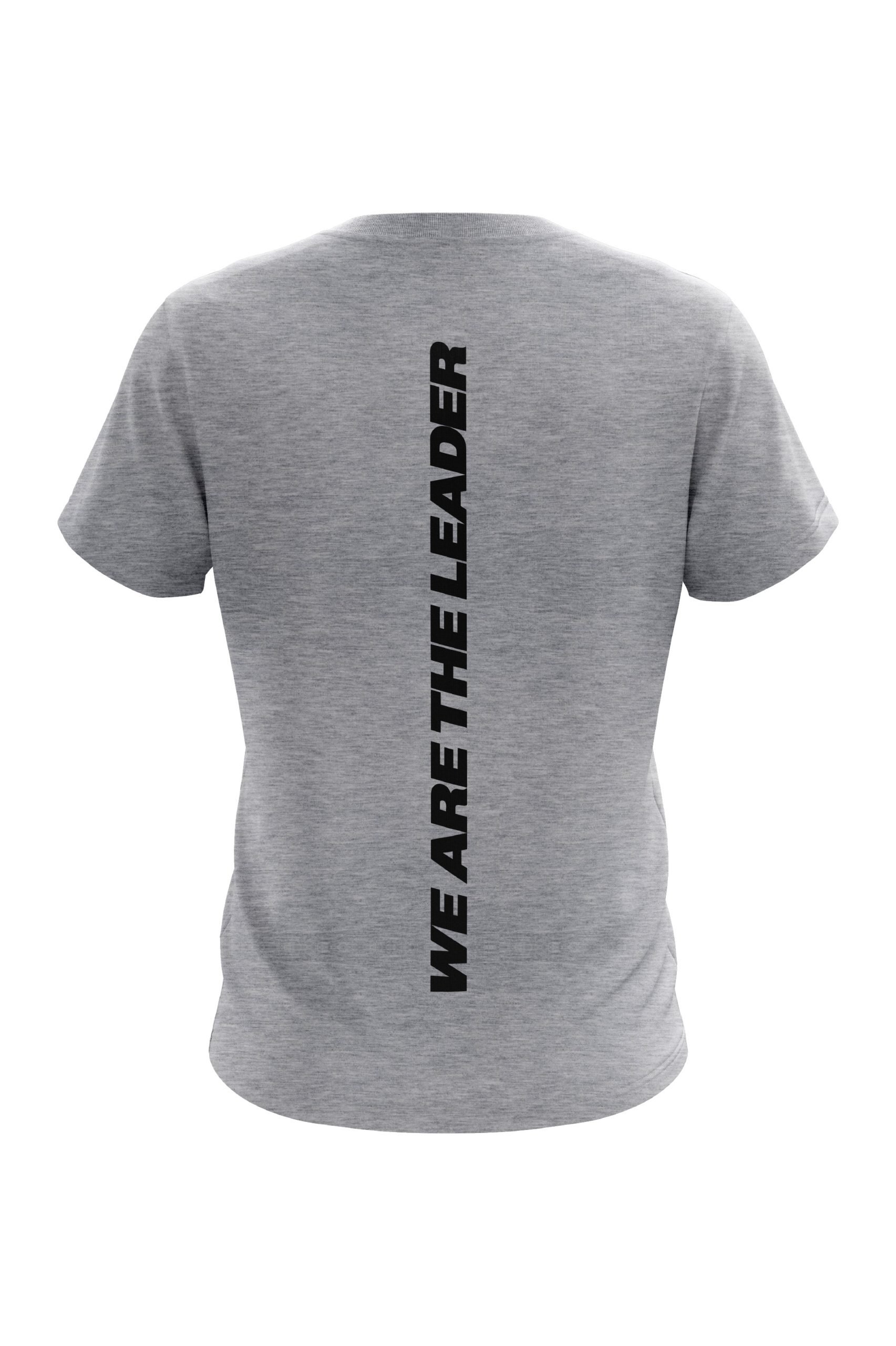 UKIPL Gradient Tee, grey, back view