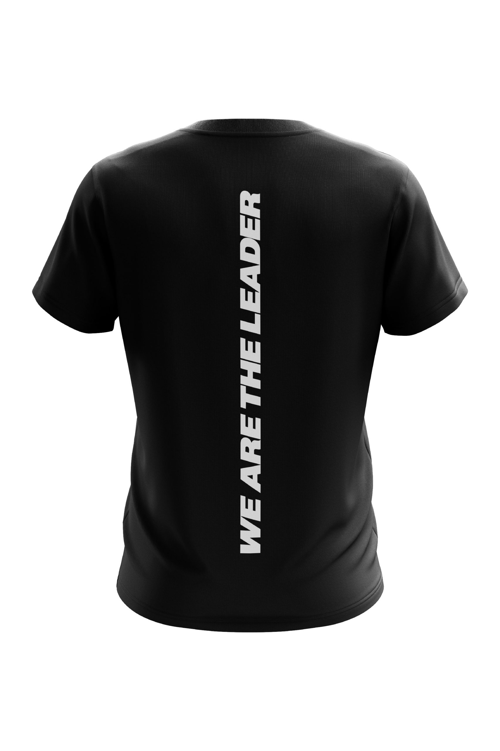 UKIPL Gradient Tee, black, back view